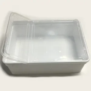 BraPlast TRANSPORTBOX 25 x 19 x 7,5 cm 3 Liter Bestpreis